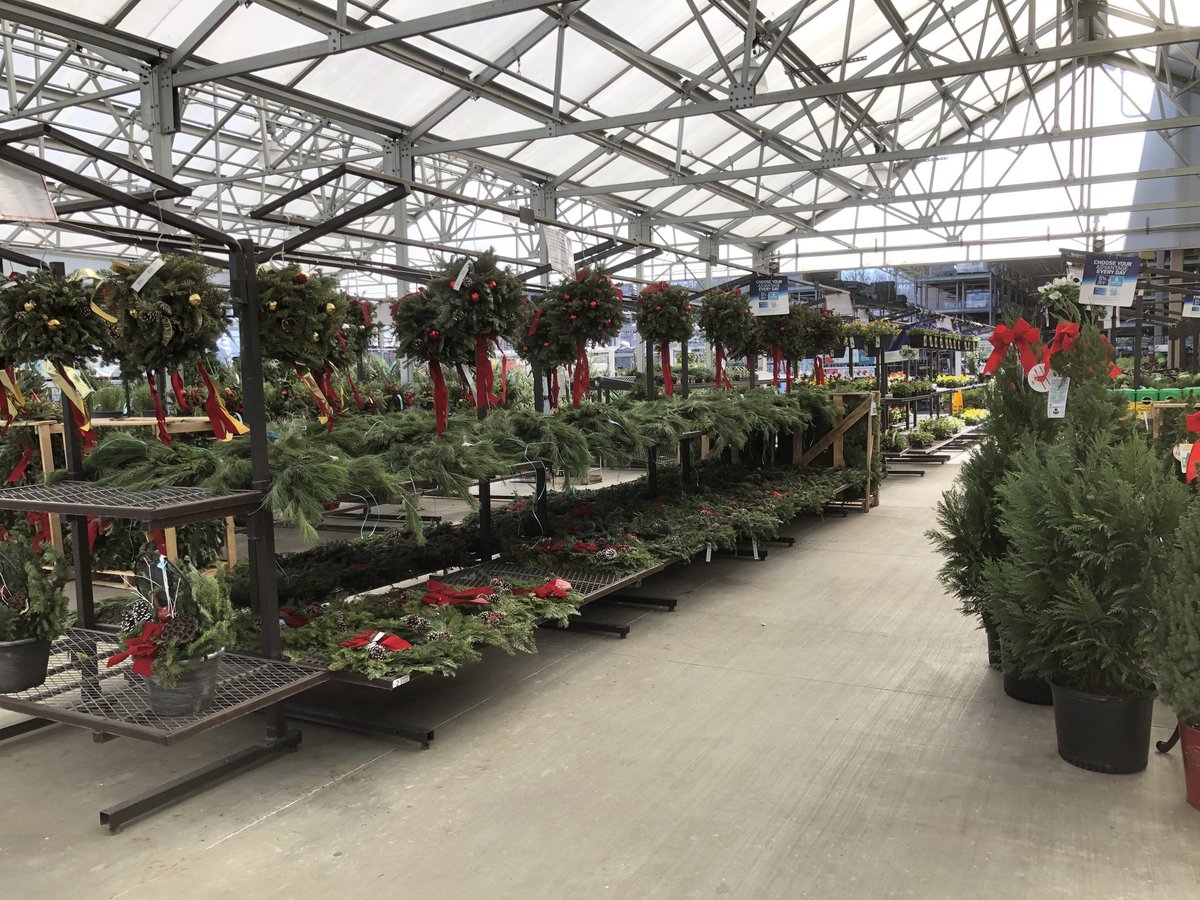 JukesinTN's tweet photo. Abingdon VA, store 2974 is looking very festive!  They have great ideas for stores with little space! ⁦@PlantPartners⁩ ⁦@SRatarsky⁩ #poinsettias#christmas https://t.co/sfPB1nCo5P