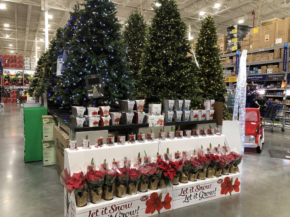 JukesinTN's tweet photo. Abingdon VA, store 2974 is looking very festive!  They have great ideas for stores with little space! ⁦@PlantPartners⁩ ⁦@SRatarsky⁩ #poinsettias#christmas https://t.co/sfPB1nCo5P