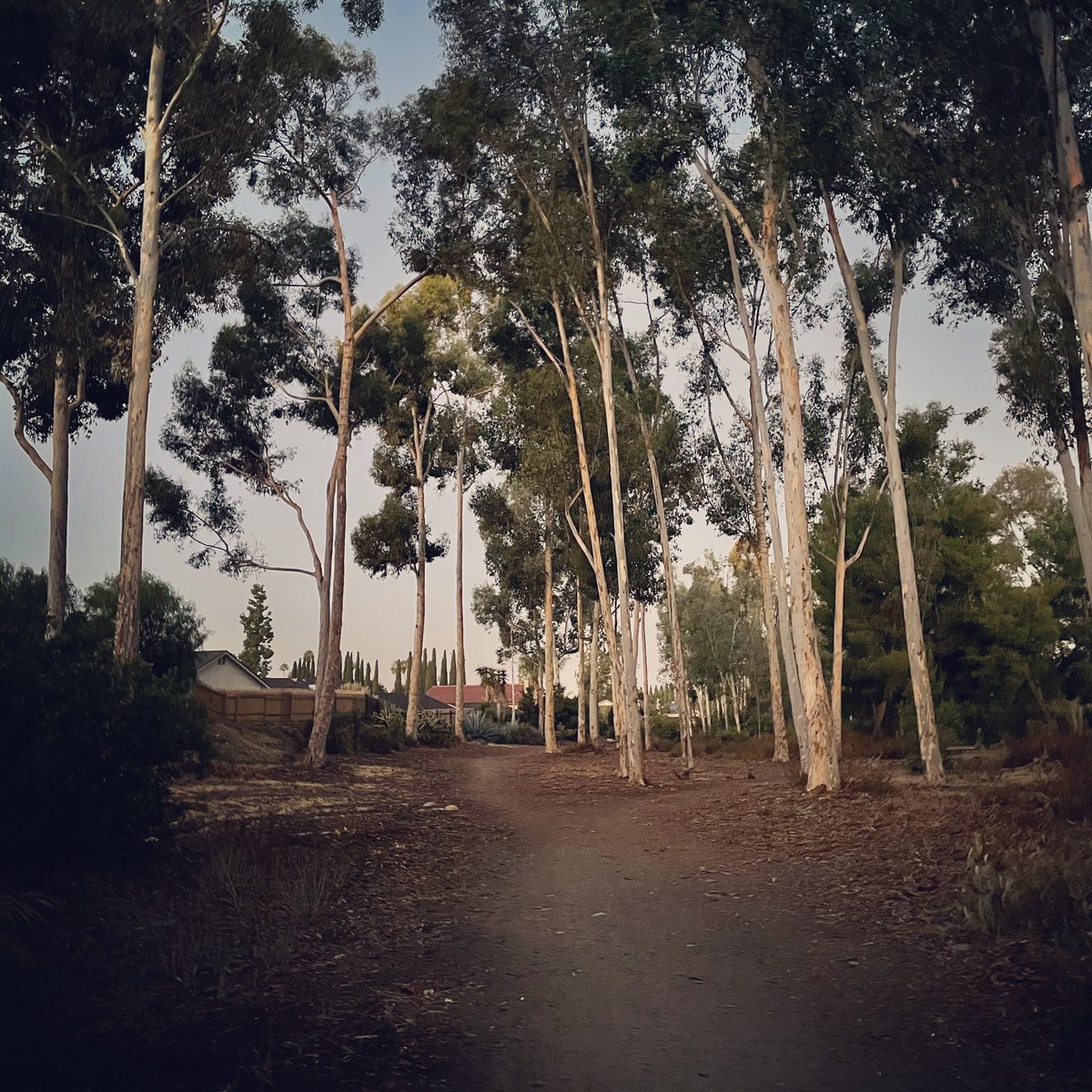 Always nice to take a stroll down one of the beautiful backyard trails for this week’s #tierrasantascavengerhunt