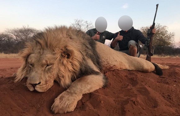 PETA_France's tweet photo. De telles images ne devraient pas exister... 

RT si vous êtes d'accord et aidez-nous à faire cesser ce commerce macabre ➡️ https://t.co/hV03RwzrjX https://t.co/2lwFsdtafT