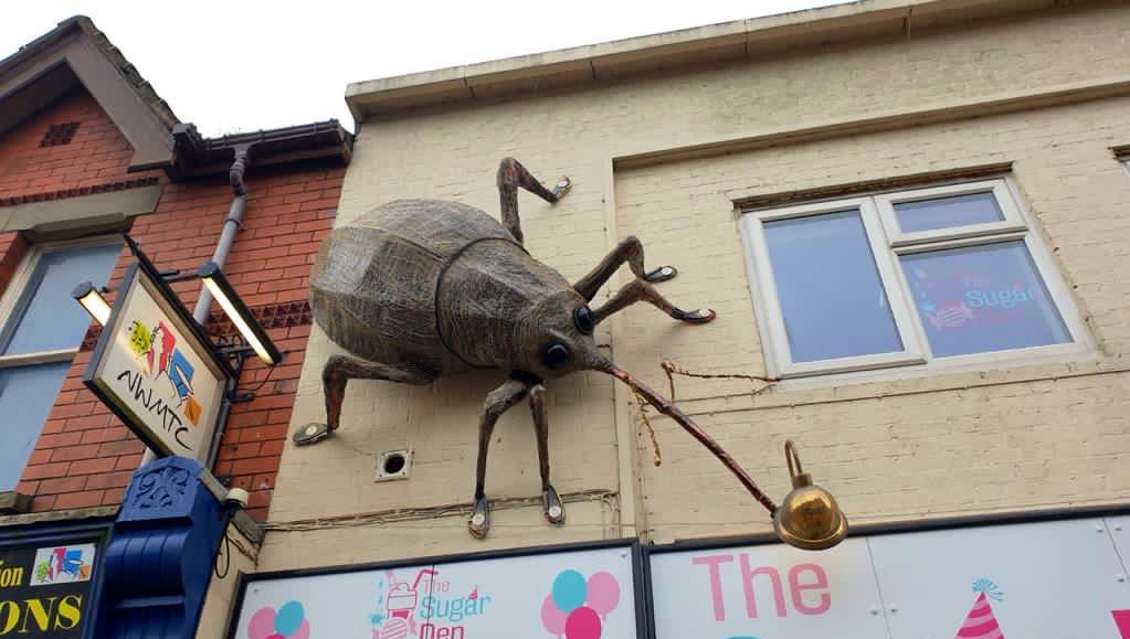 Gwrych_Castle's tweet photo. 🏰 It’s castle fever in #Abergele but if you don’t live in the area here are a few photos.

Glow in the dark ghost ladies, large castle themed drawings in shop windows &amp; #ImACeleb themed insects made from recycled materials are taking over the town! 🏴󠁧󠁢󠁷󠁬󠁳󠁿

https://t.co/Qy2lj73Glo https://t.co/5FtNEdRGAh