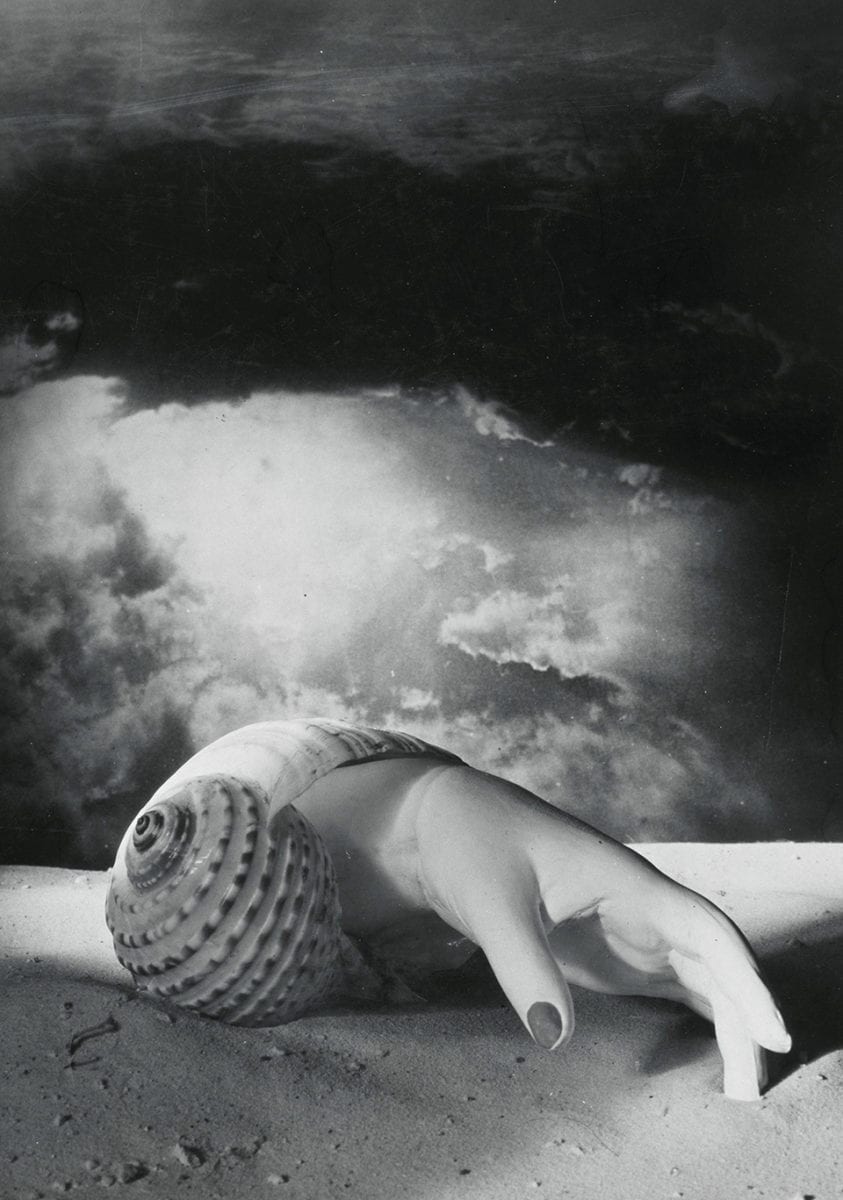 Aesthetica Magazine tweet media