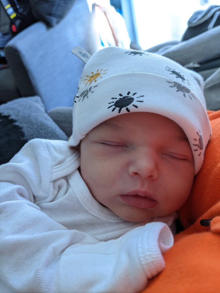 Mr. Plesko tweet media