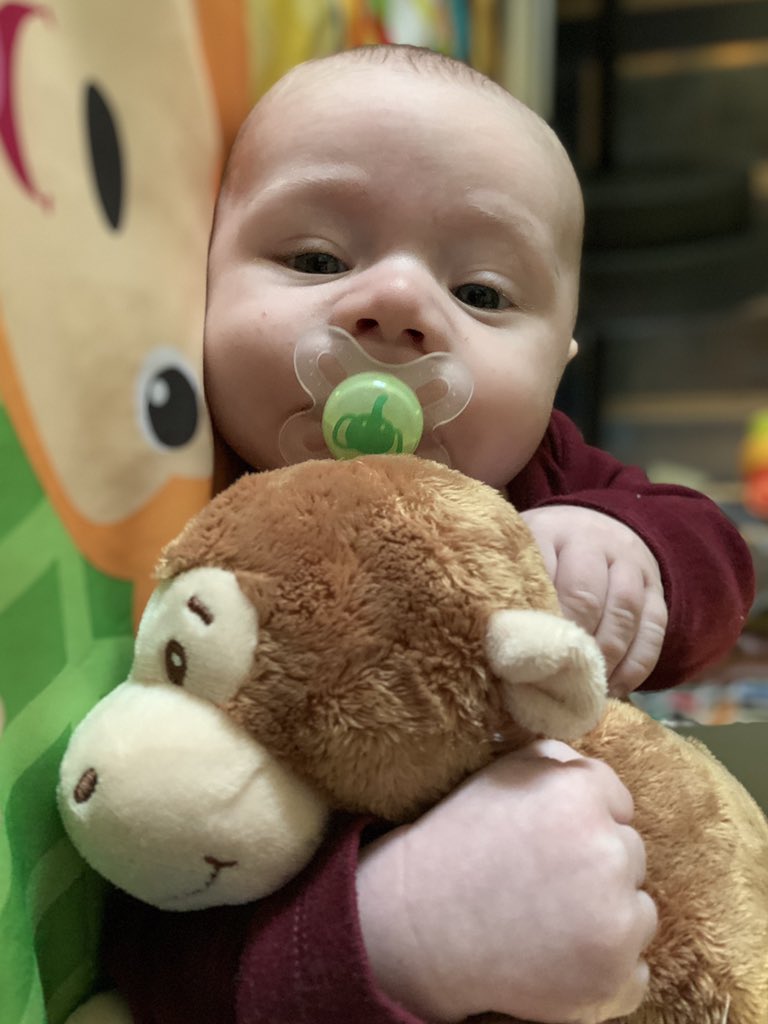 TraceyRaeanne's tweet photo. Leaving this sweet boy to go to work isn’t getting any easier 😩 https://t.co/VUtM2d0nHv