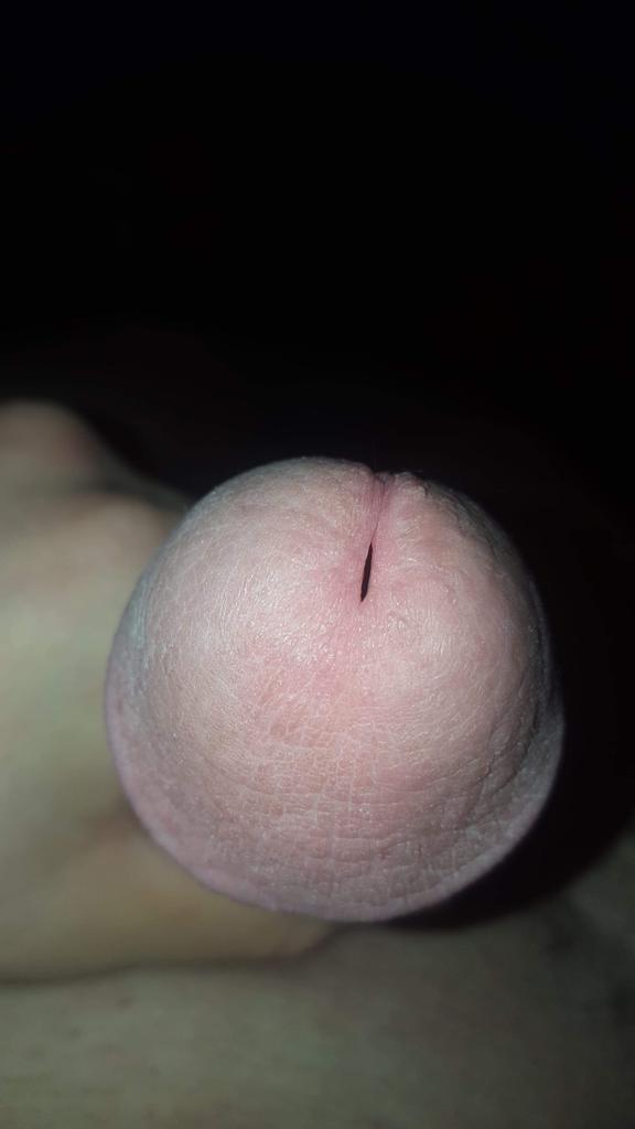 Blancos2020 (@blancos2020) on Twitter photo 