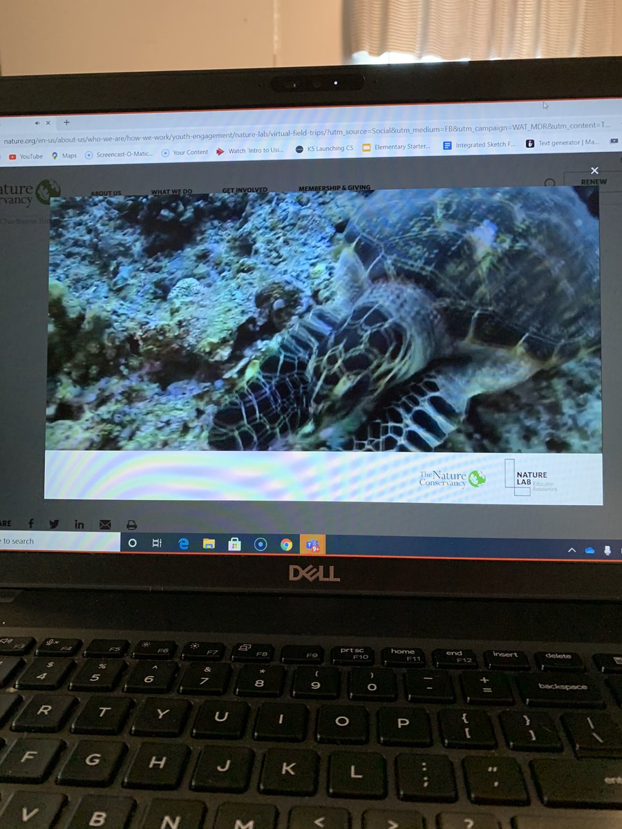 HaworthChristy's tweet photo. 3rd graders took a Friday field trip to Palau’s coral reef today in Teams! Learning about different ecosystems is so much fun! @mspamdavis @BristolSuper https://t.co/2mHD7WH3Re