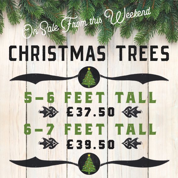 Starting this Sunday and then every Saturday/Sunday leading up until Christmas we will be selling the finest, no drop, Christmas Trees from the front terrace. Pizza and a Christmas Tree anyone??? 🍕 🎄 🔥 #stayinwigan #christmastrees