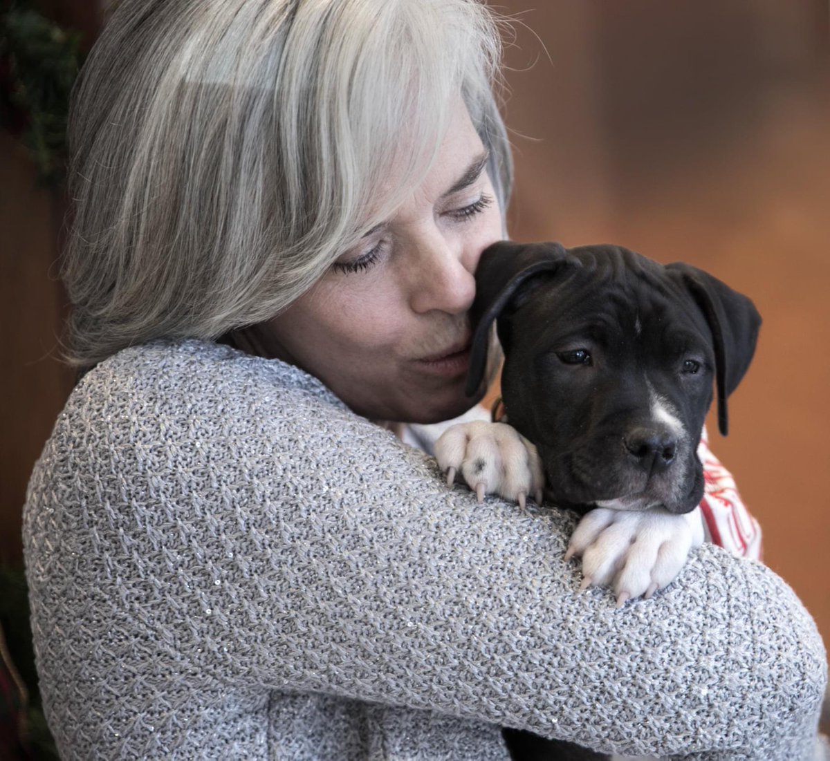 MSPCAAdvocacy's tweet photo. Congrats to @RepKClark on becoming the most powerful congresswoman in state history w. her new position, Assistant Speaker of the US House of Representatives. Rep. Clark has been an amazing advocate for animal protection and has always been there for the animals and their owners. https://t.co/QAi71yxO6M