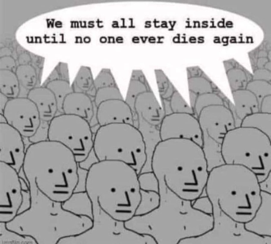 https://pbs.twimg.com/media/EnSONYwWMAEZJBd?format=jpg&name=900x900