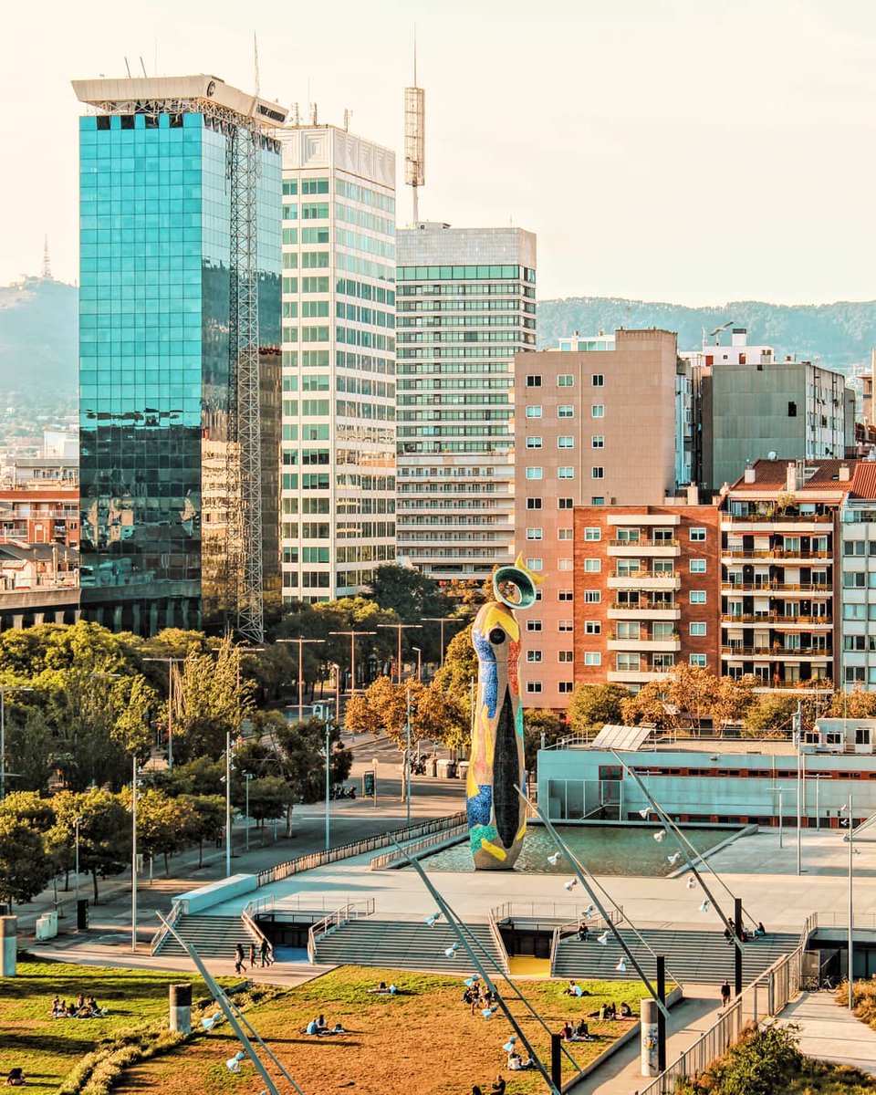 capribarcelona tweet media