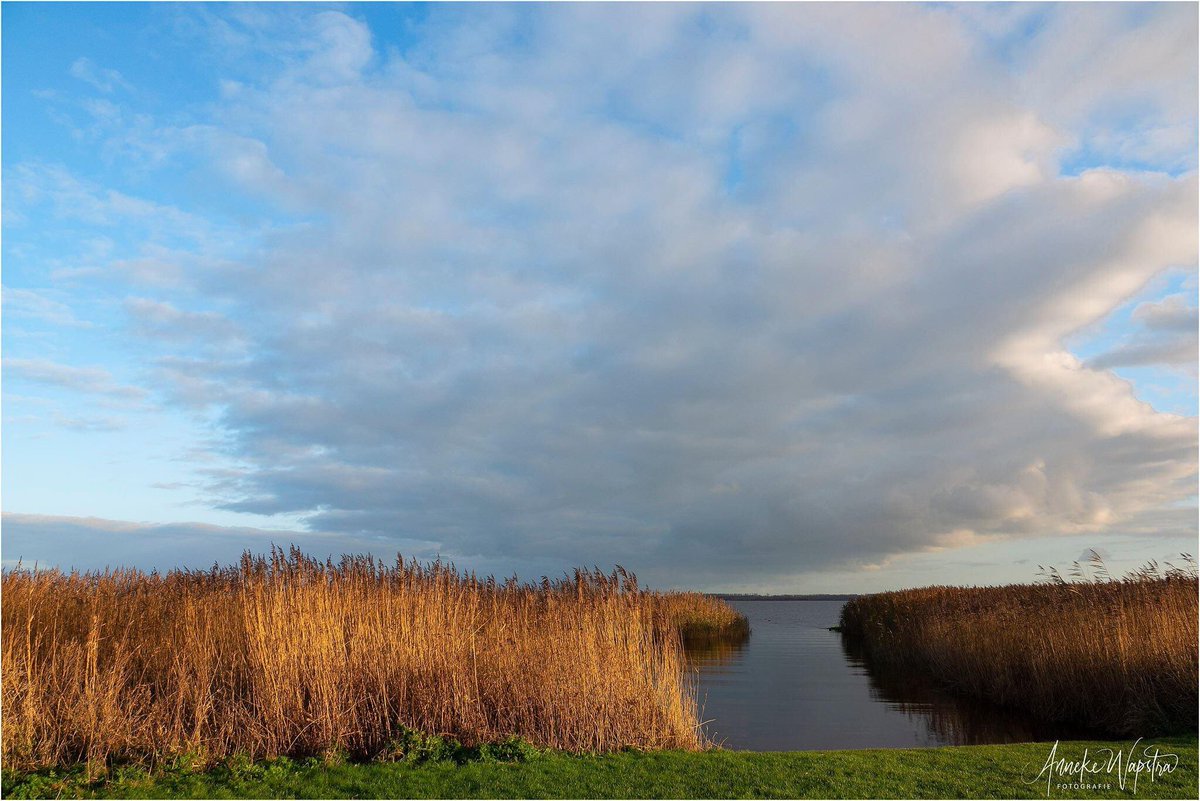abwfoto's tweet photo. #Lauwersmeer vanmiddag @ItFryskeGea @visitfriesland @Lauwersmeer @volgdenatuur https://t.co/6PjhnW8E1f