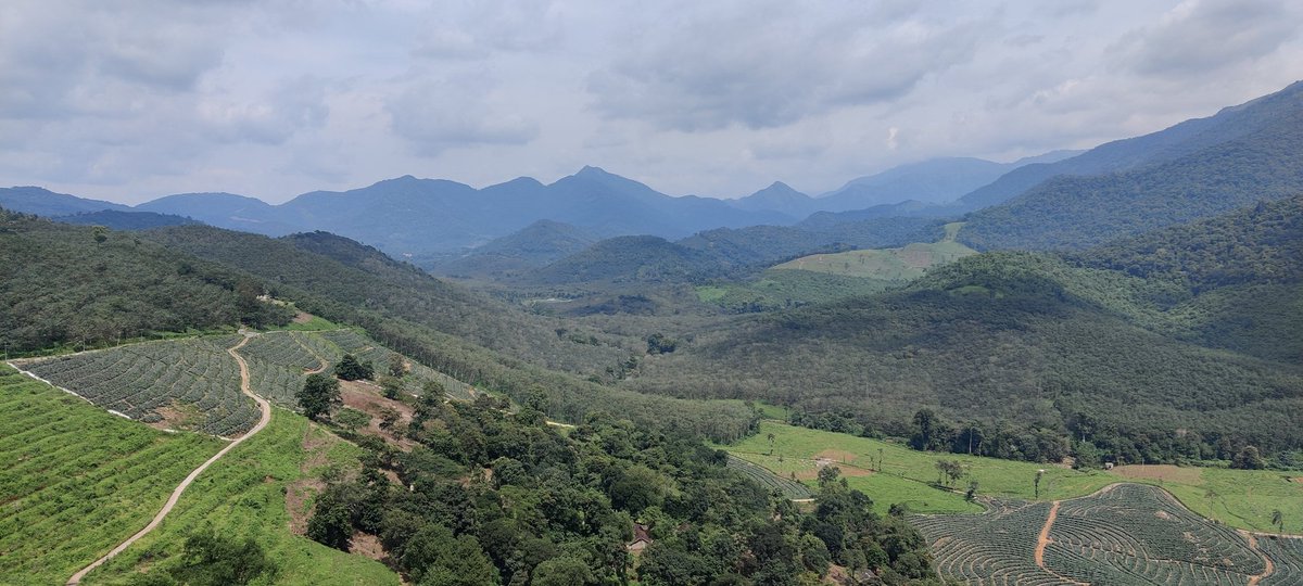 Aswin304's tweet photo. And the name is #Vagamon 💚 https://t.co/Ip3Rlc6BtG