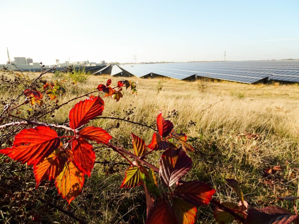 UK solar developer @solarcentury has divested ownership of two ground-mounted solar projects in France to global independent power producer @GroupeCVE.
cleanenergypipeline.com/news/solarcent…