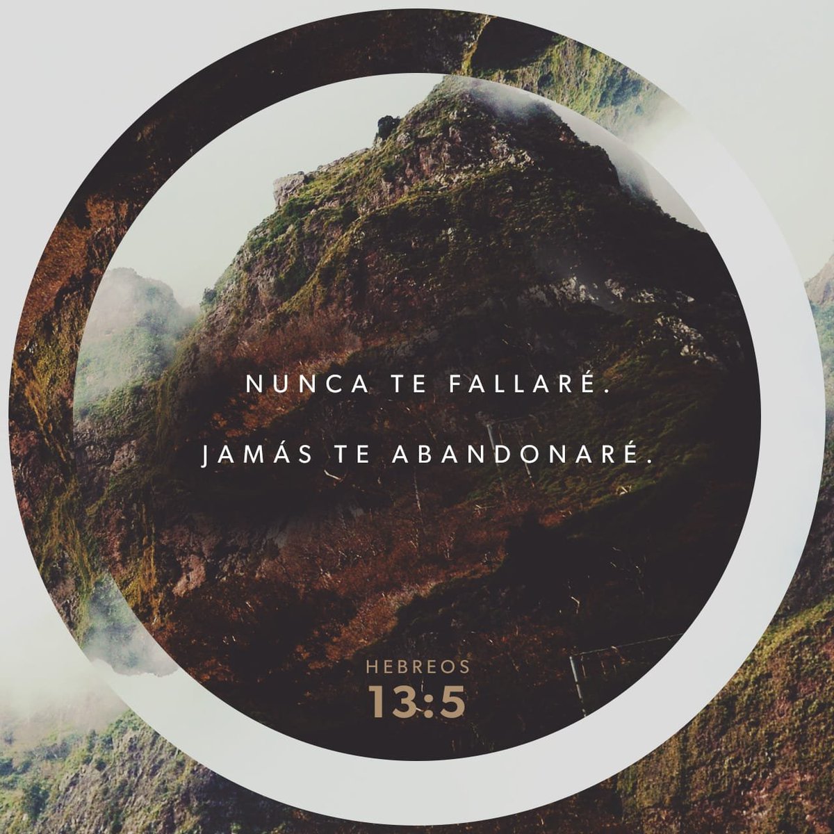 Biwapas's tweet photo. Recuerden que no están solas Biwapas 💗🌿
Ánimo ya es viernes y mañana SÁBADO DE CADENA https://t.co/ZQzGzR7gE1
