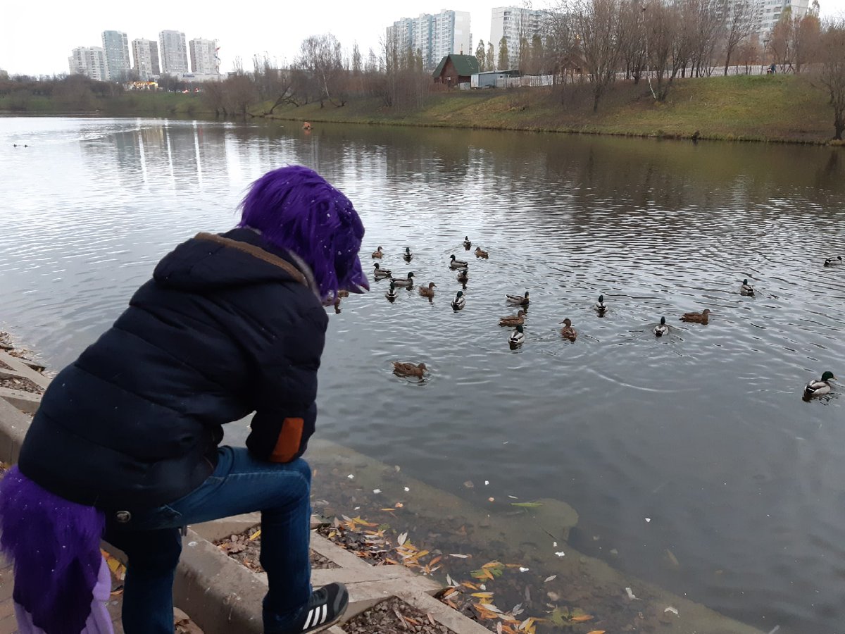 AilloTusk's tweet photo. Finally had a chance to have a walk with cute fluffs. And it's a first time Aillo saw snow :з. Later that evening played mafia with them.
#furry #FursuitFriday #fursuit #Raven
@CuteFursuits @FursuitPursuits https://t.co/grvpBB9a7j