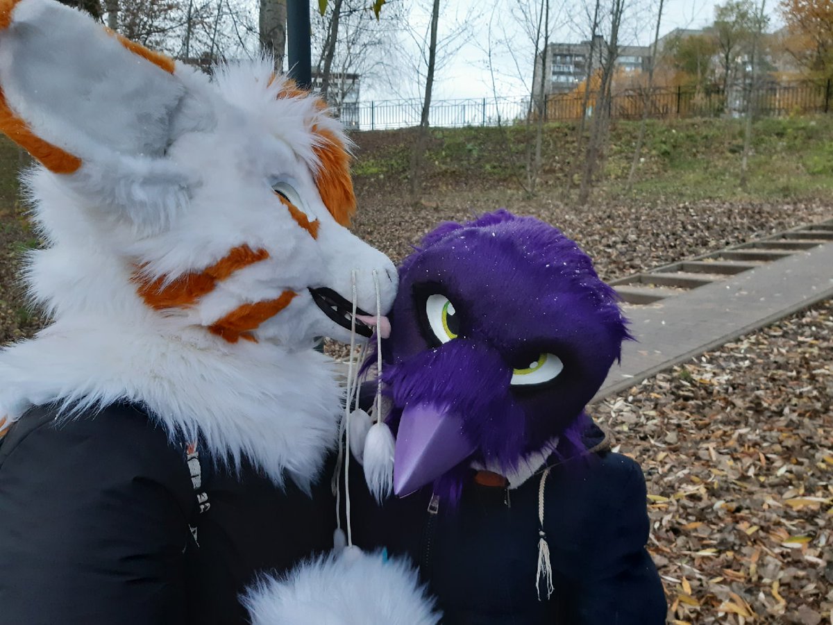 AilloTusk's tweet photo. Finally had a chance to have a walk with cute fluffs. And it's a first time Aillo saw snow :з. Later that evening played mafia with them.
#furry #FursuitFriday #fursuit #Raven
@CuteFursuits @FursuitPursuits https://t.co/grvpBB9a7j