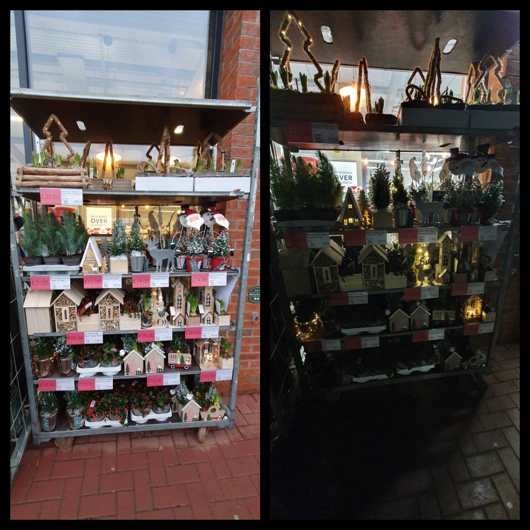 Brooklime way Christmas plants that look great in the day but really come to life at night.  <a href="/garton_matthew/">matt</a> <a href="/ClaireKoziol/">Claire Koziol</a> @PaulalanDennis pic.x.com/PP5rzZn20J