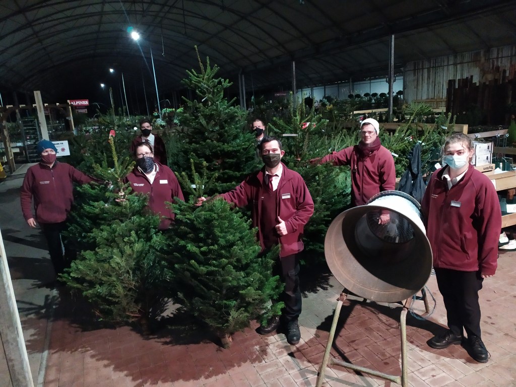 TatesGCs's tweet photo. ๐ฒ๐ฒ THEY'RE HERE! ๐ฒ๐ฒ
#British-grown, non-drop Nordmann #ChristmasTrees now in stock at all four of our #Sussex-based #gardencentres - buy your tree from us and we'll give you 20% off selected tree decorations too! #Sussex #Hassocks #Newhaven #Portslade #DialPost #Horsham https://t.co/InLIAXwgZN