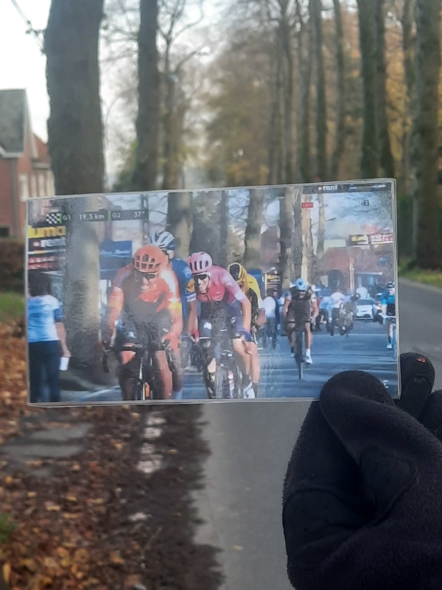 Cycling_Memes1's tweet photo. What we saw todat vs. what we were thinking about @OliverNaesen #Tiegemberg https://t.co/lnbGxa20p1