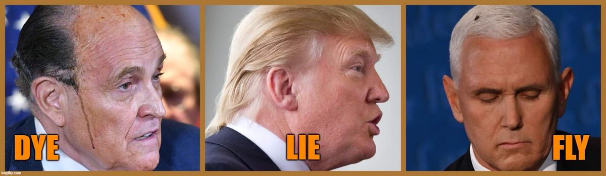 #DieLieFly #dyegate #flygate #Trump #TrumpIsALaughingStock