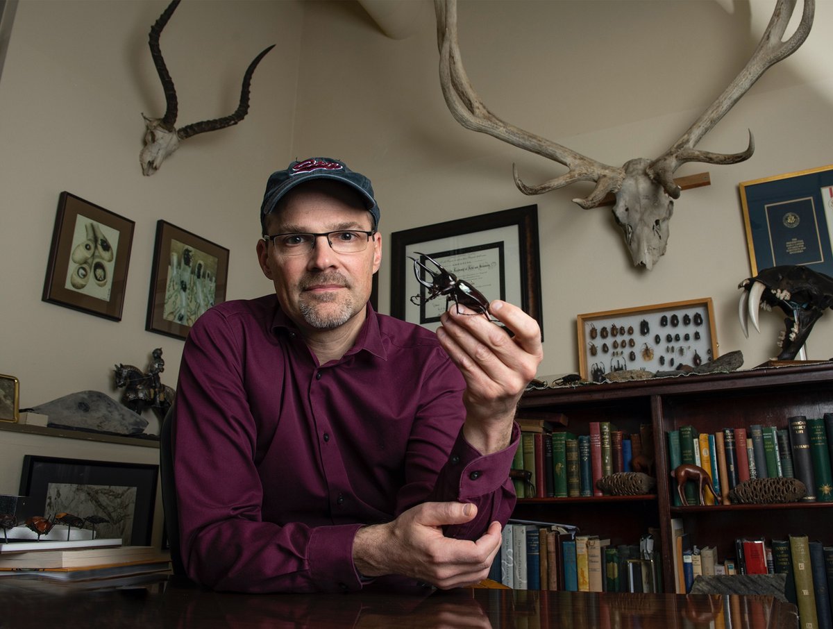 Congratulations to UM's own Doug Emlen, who today was named a Regents Professor, the highest faculty rank in the Montana University System. His research on the development and evolution of animal weaponry has garnered international acclaim. bit.ly/2HoidHo