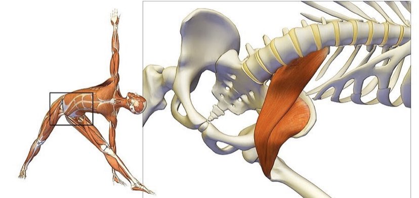 Подвздошно-поясничная мышца упражнения на расслабление. Подвздошно-поясничная мышца упражнения на растяжение. Синдром подвздошно-поясничной мышцы упражнения растяжка. Подвздошно-поясничная мышца упражнения. Растяжка подвздошно-поясничной мышцы.