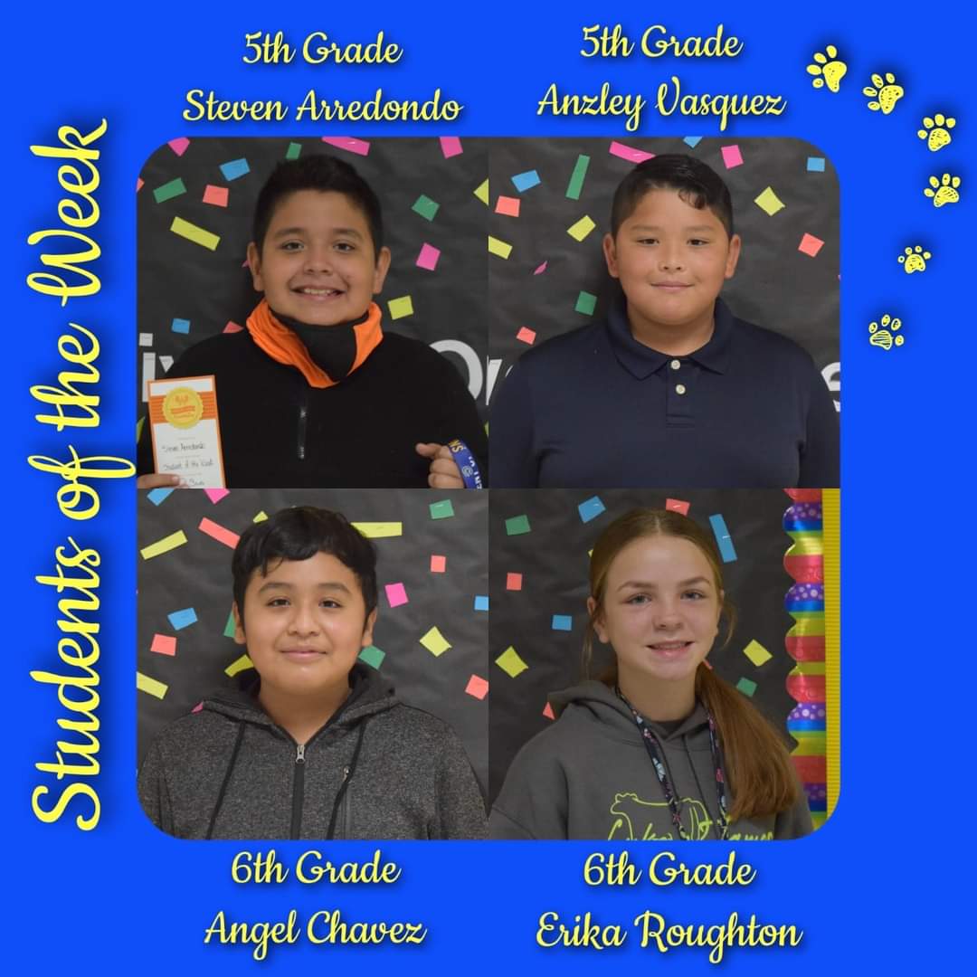 Collins Intermediate tweet media