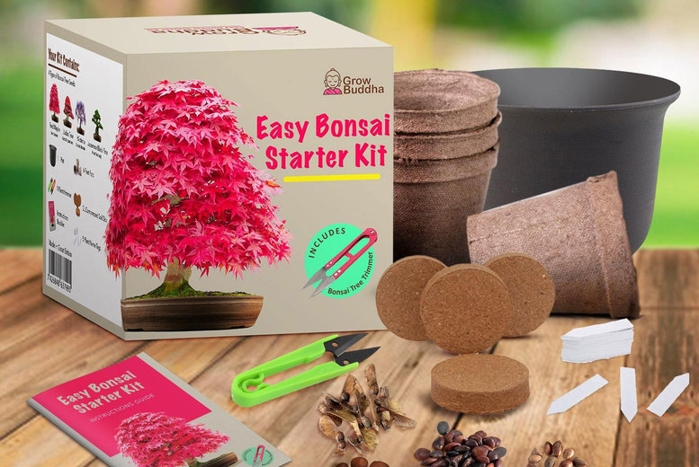 Livingsocial Uk On Twitter You Ve Always Got To Keep Your Bonsai Open For A Special Treet For Yourself We Re Offering You A Grow Your Own Bonsai Tree Kit For Just 9