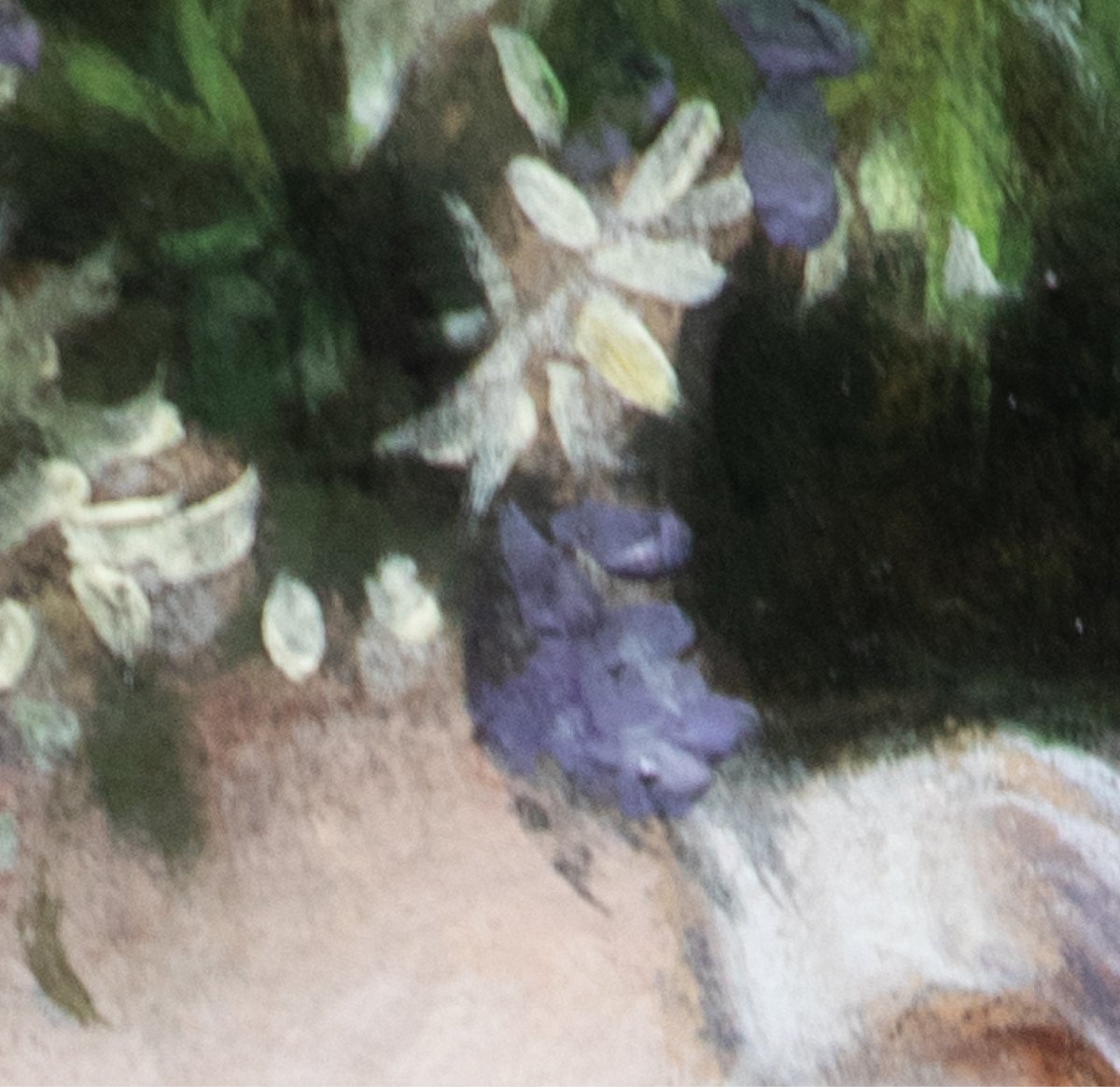 smarturl.it/sstw-everything