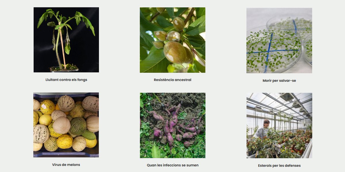 cragenomica tweet picture