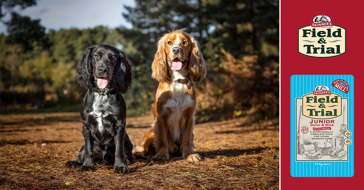 skinners duck and rice puppy