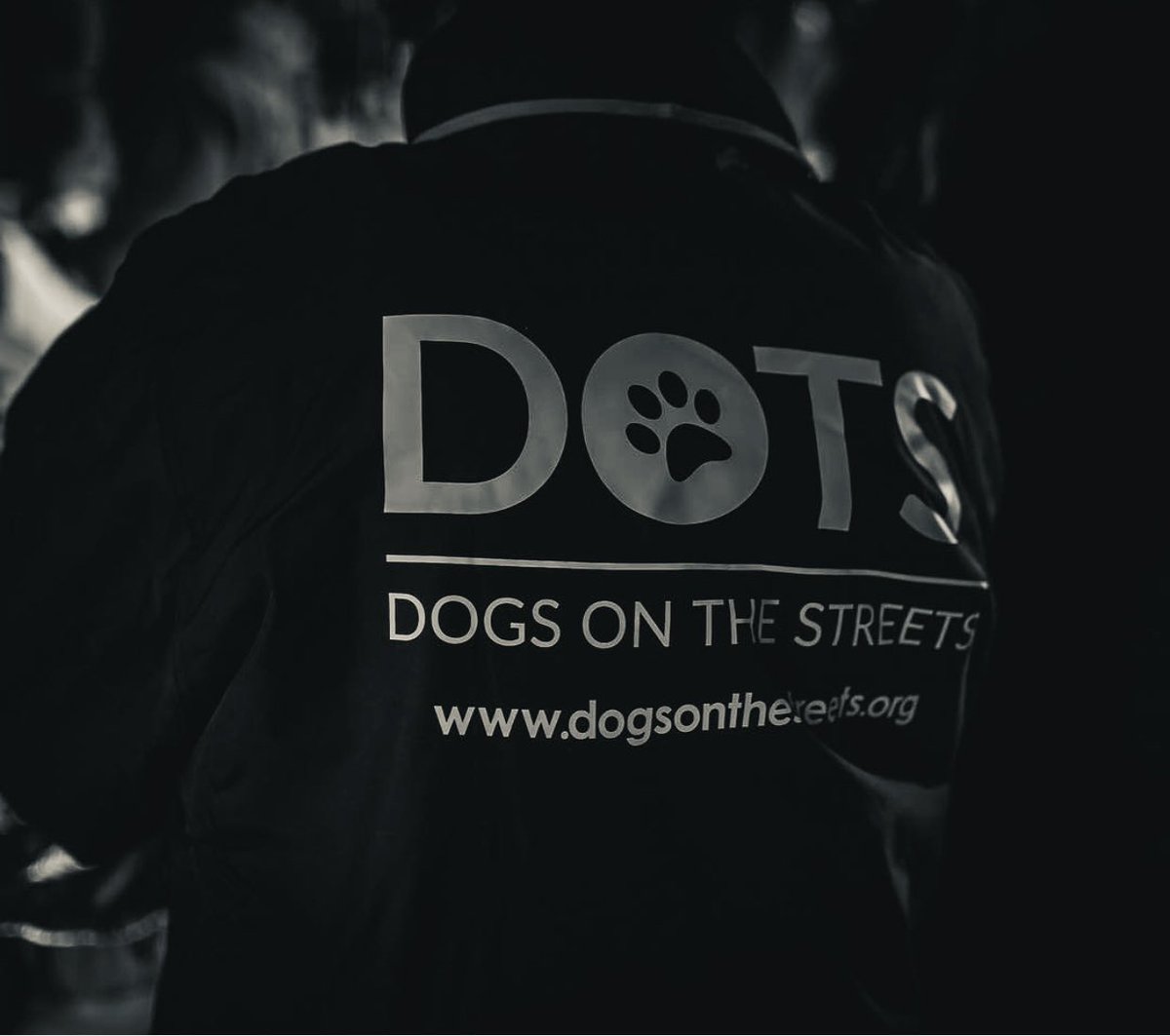 dotslondon's tweet photo. We’re so pleased that we’ve 6 dogs leaving our foster care over the next 2 weeks to start a new future with their owners in new homes.
As much as we’ll miss their little faces each day it’s so lovely seeing them all being reunited back,we will always provide our support to them🧡 https://t.co/UR6lRbDdyb