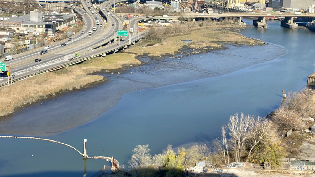 Flushing Creek at low tide today. There is a big part of the Flushing community, namely people like me who live next door to it, that would like to see this cleaned up. Look at that sludge. Who but private developers is willing to pay to improve the environment? #SFWDistrict