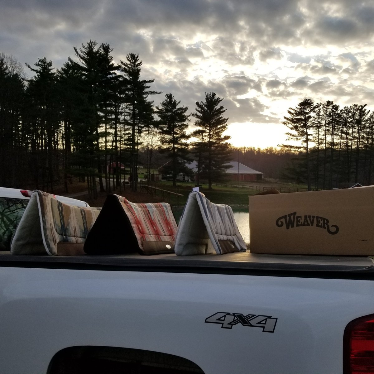 Skyview Ranch tweet media