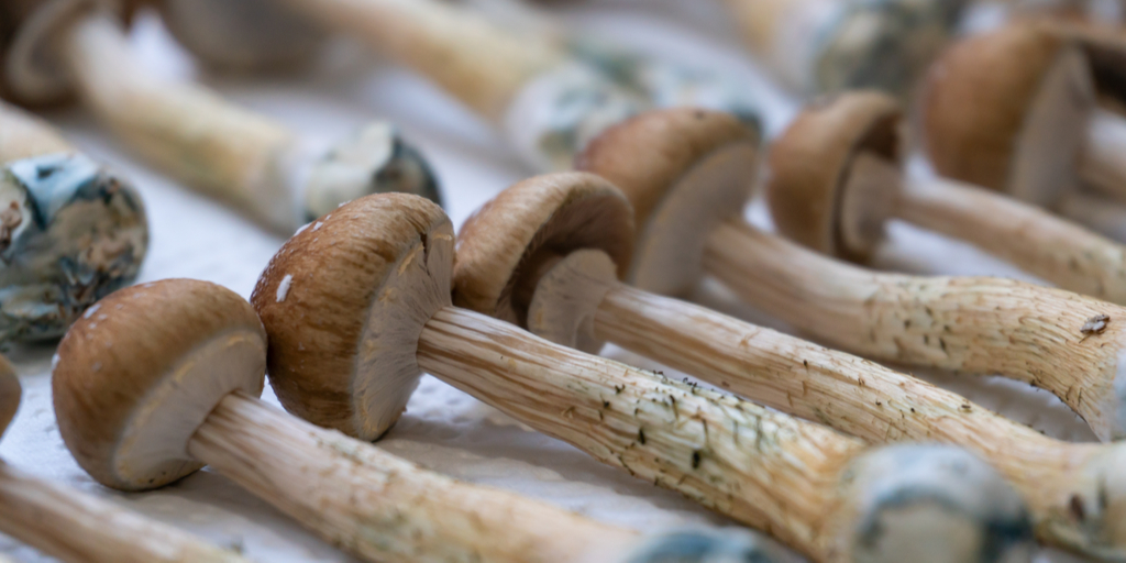 MDEdgePsych's tweet photo. Psilocybin offers a 50% reduction in depressive symptoms in a recent study. https://t.co/KcR42tiECG https://t.co/jNxDBsdJxk