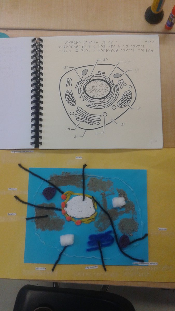 Braille User tweet media