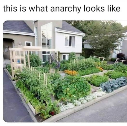 What else does anarchy look like?
