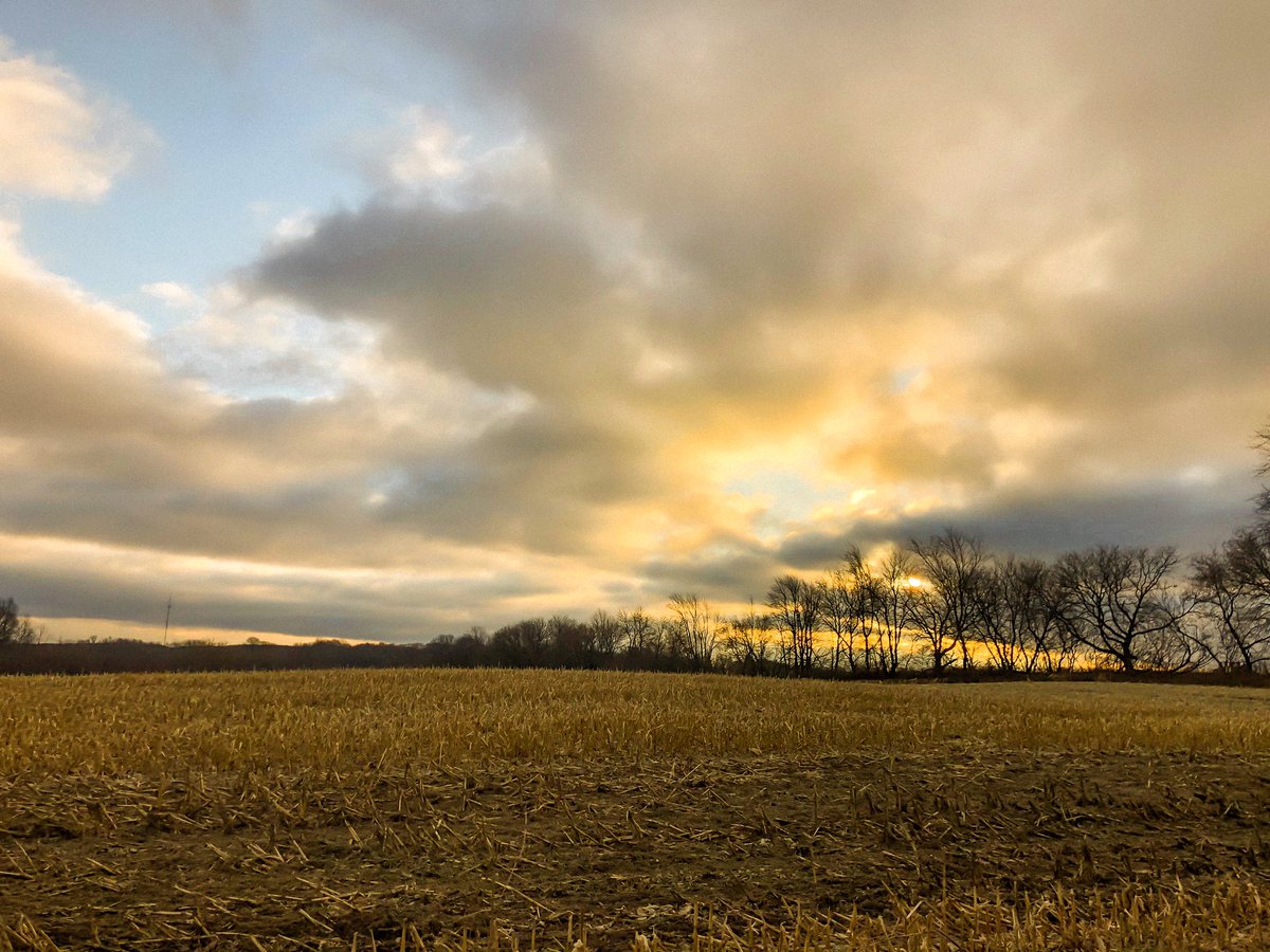 jeffrogersfit's tweet photo. November in Wisconsin.
#workoutviews https://t.co/9BYRgGHEAW
