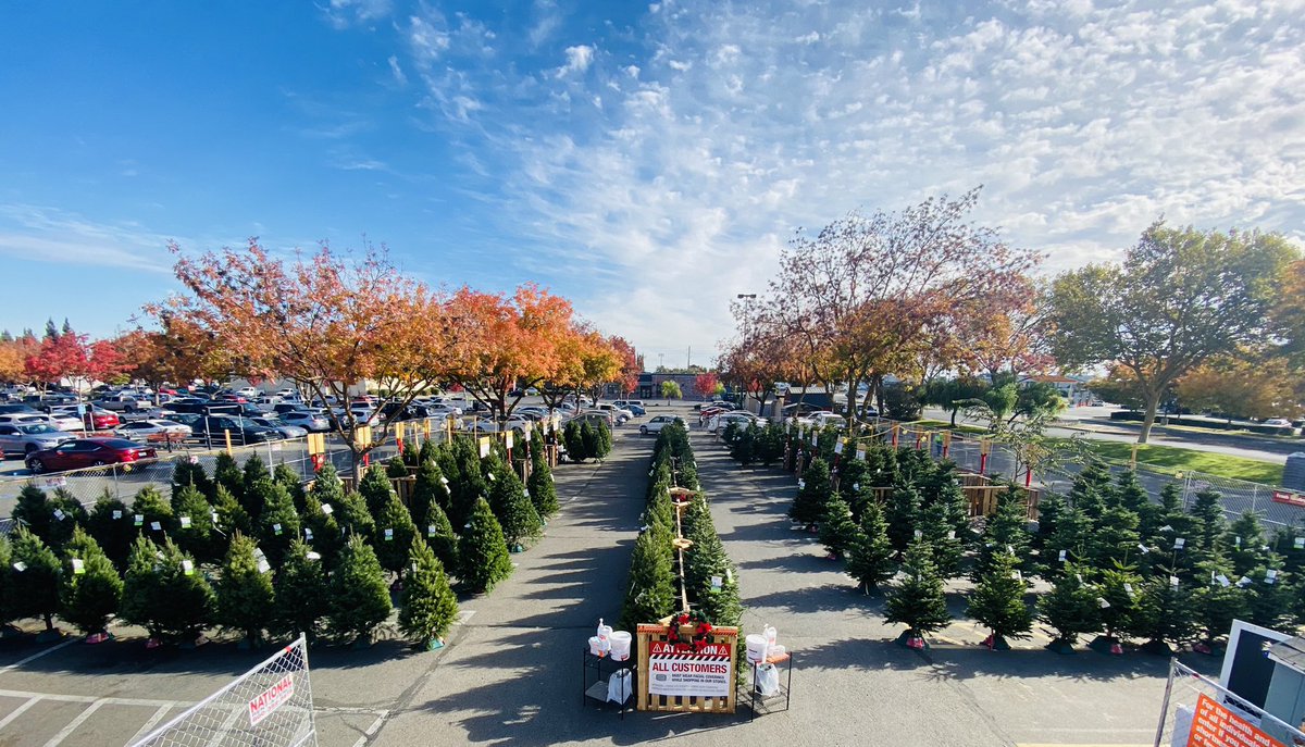 KristenOikawa's tweet photo. When your tree truck comes in, and your team busts their butts to not only unload, but to stand up all 300! #myteamrocks #6601proud #D20allday #itsbeginningtolookalotlikexmas https://t.co/PcLEvUO0bV