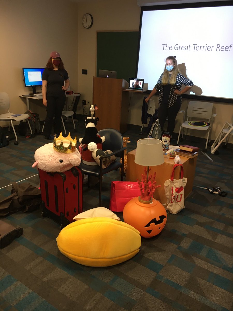 RandiRotjan's tweet photo. Today in #CRD2020, we are generating “The Great Terrier Reef” ⁦@BUMPatBU⁩ so we can practice photogrammetry from scratch. ⁦@BU_Biology⁩ #BUTerriers https://t.co/NY5V1xPkGe