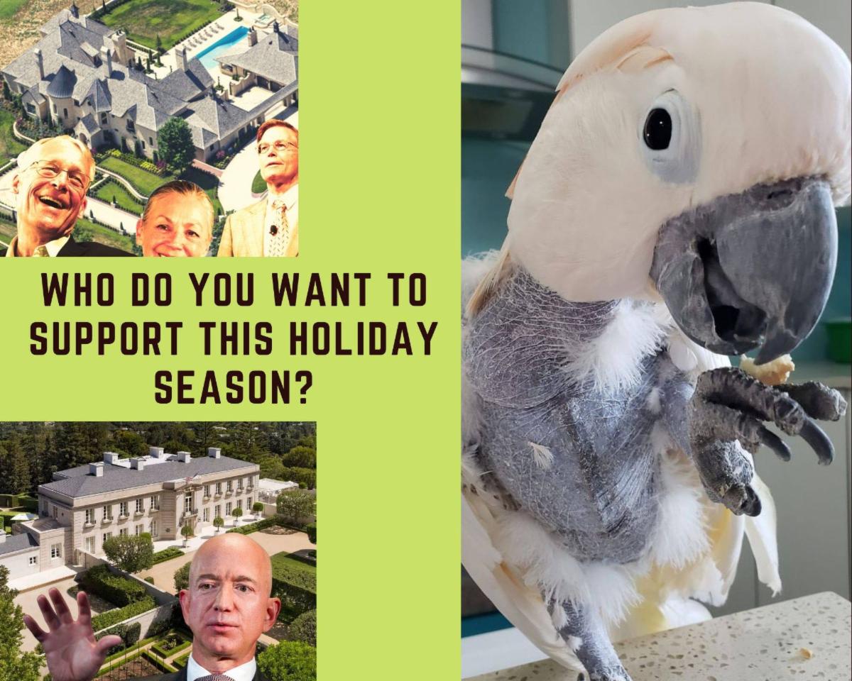 Holiday Fundraising - Help The Birds! conta.cc/2IyeVC3