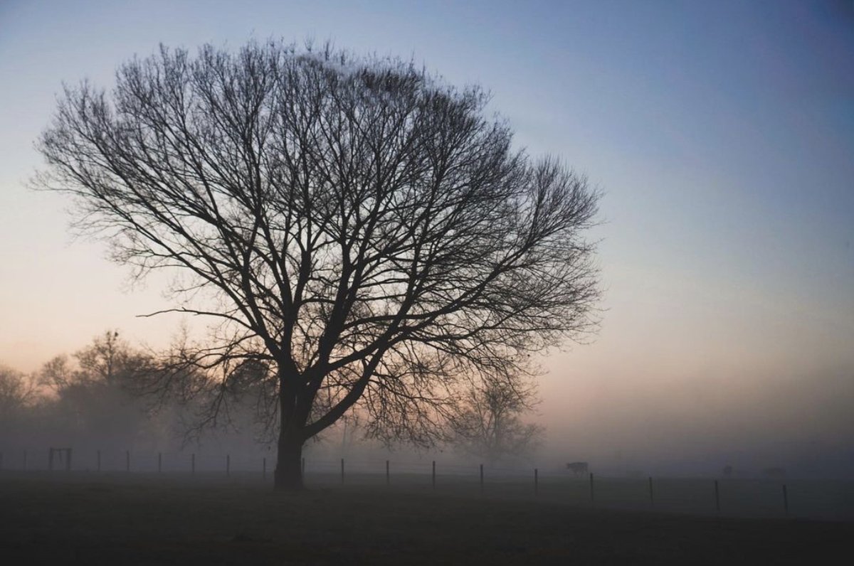 Wishing everyone a fun filled and relaxing weekend in our beautiful town. 🍂 //
.
.
\\ Thank you for sharing @haybalesonroad
#eatontonga #putnamcountyga #ruralgeorgia #exploregeorgia