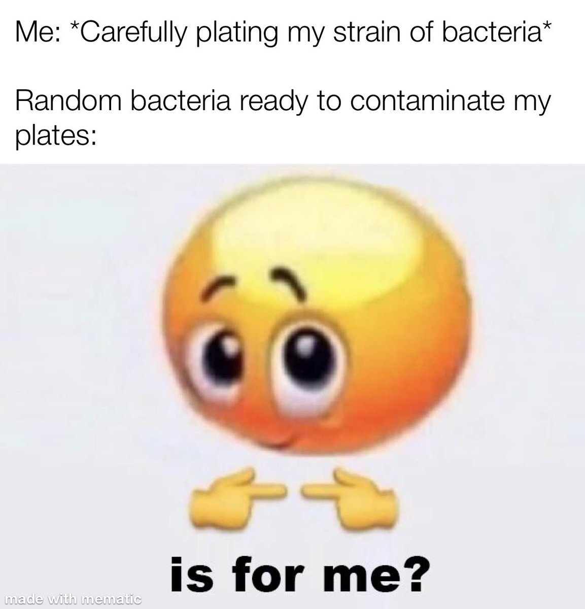 UTKBiology's tweet photo. When my grad student and I try to inoculate anything on MS plates lately... #UTKGeneralBiology #LabStruggles #FunnyFriday @ArtsSciencesUT 🔬 https://t.co/h4FELoyC3S
