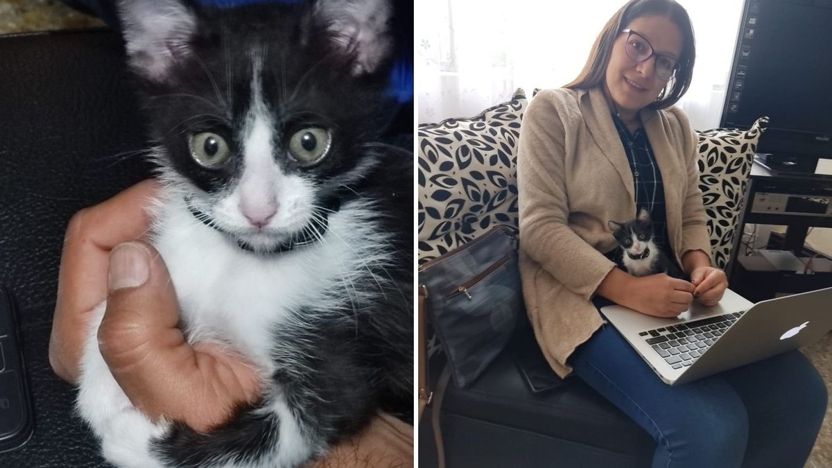 museolasalle's tweet photo. #MLSComparteContigo #EventosMLS #lasalleedagarra 
- NOMBRE DE LA PARTICIPANTE: Mayerly Gutièrrez Arèvalo
- PERFIL: Estudiante
- NOMBRE DE LA MASCOTA: Polo o Polito
- ACERCA DE ÉL:  "Le gusta comer mucho y a toda hora, como es bebe tiene 2 meses y medio" https://t.co/ljaCEkxc0k