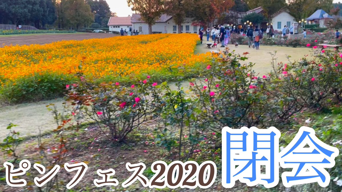 うり 大河 ミニピン ピンフェス 初参戦レポ 大河10ヶ月 T Co Qsv6ad8m3k Youtubeより ペット 犬 子犬 ミニチュアピンシャー ミニピン ピンフェス イベント 茨城県 こもれび森のイバライド 抽選会 閉会式 花畑 Pet Dog