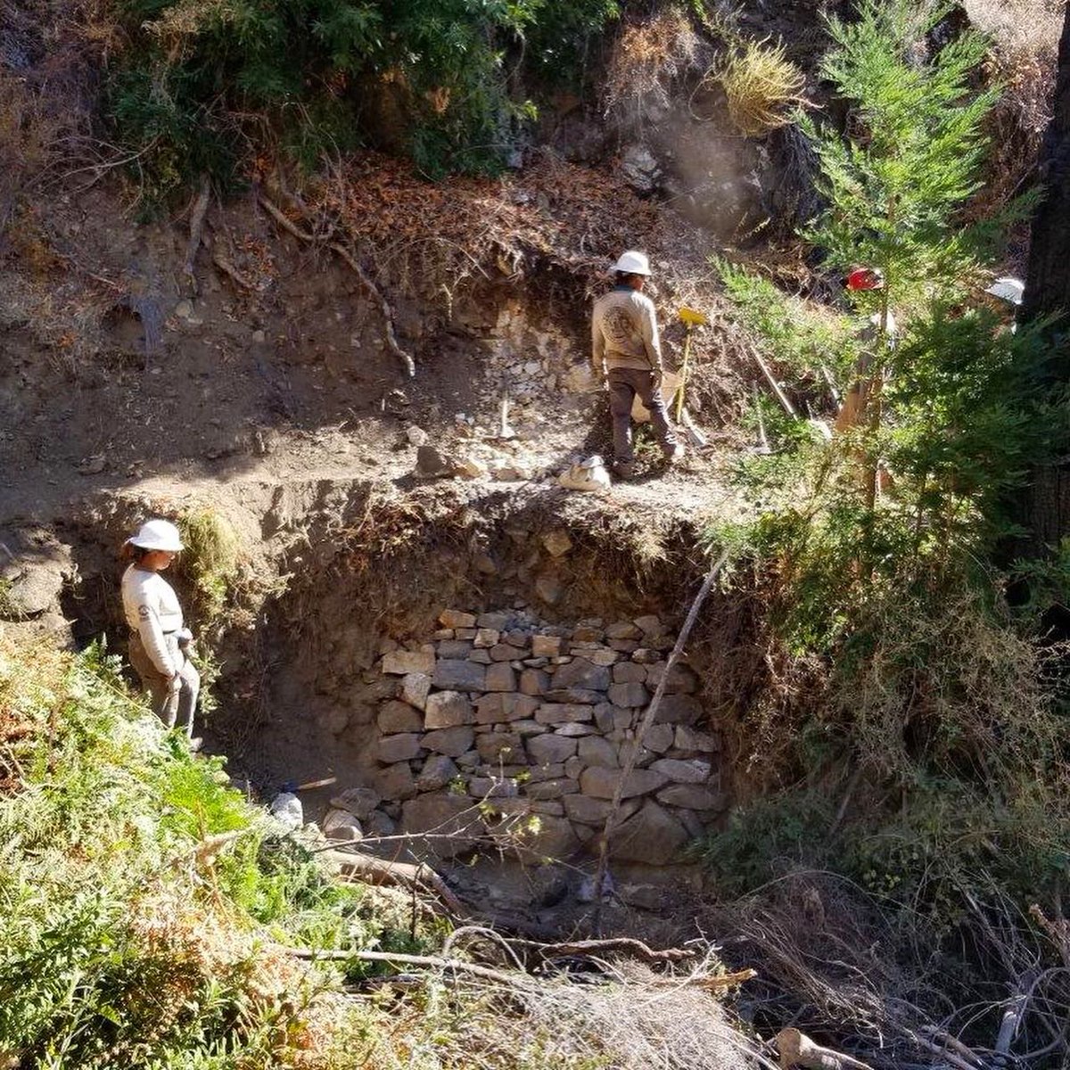 Trail crews are hard at work getting ready for a partial re-opening of the #lospadresnationalforest Monterey Ranger District. Keep an eye on the VWA website (ventanawild.org) for information &amp; updates. #bigsur #backcountry #ventanawilderness #silverpeakwilderness