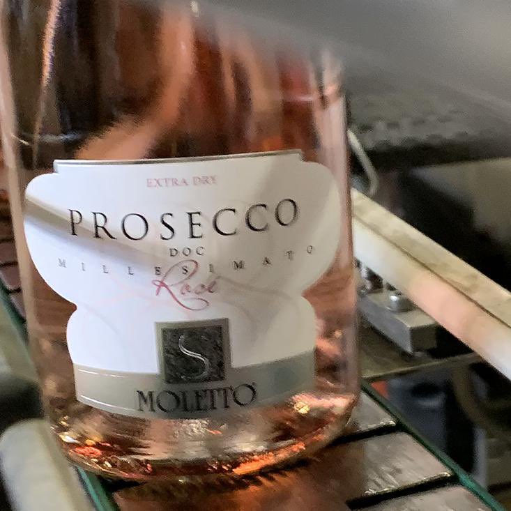 Vini_Moletto's tweet photo. #Cooming soon 💗 Prossimamente
•
💗 Prosecco Doc Rosé Millesimato 2019 💗
•
#Moletto #MolettoProsecco #Rosé #ProseccoRosé #Spumante #ExtraDry #DOC #Millesimato
.
#Glera #PinotNero #Bubbles #RoséBubbles #RoseBubbles
#imbottigliamento #bottling #bottlingday
#EnjoyMolettoWines https://t.co/7rbGUT2HHx