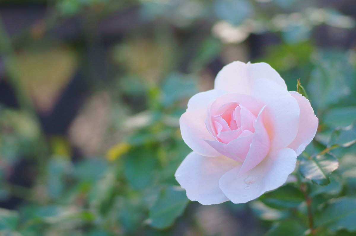 マチルダ のtwitter検索結果 Yahoo リアルタイム検索