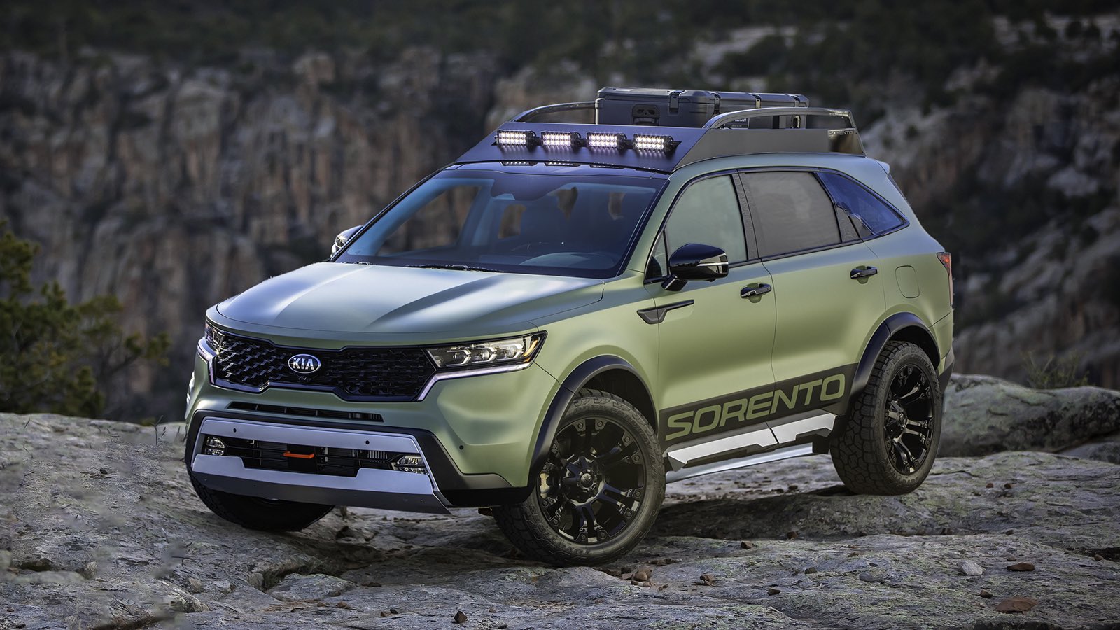 Kia sorento fender sale flares