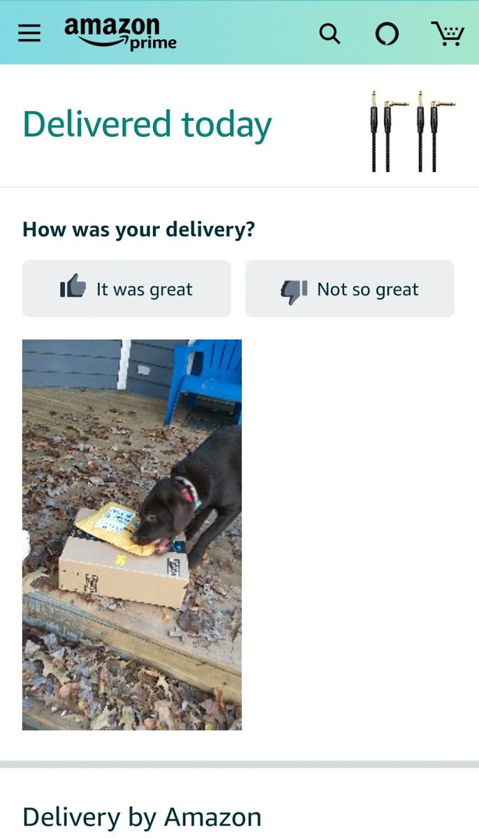 itsmikelynch's tweet photo. Hey @amazon there's no option for 🐾Daisy🐾 to rate today's delivery as "tasty", can you help?
cc: @darth https://t.co/topGDqmAPl